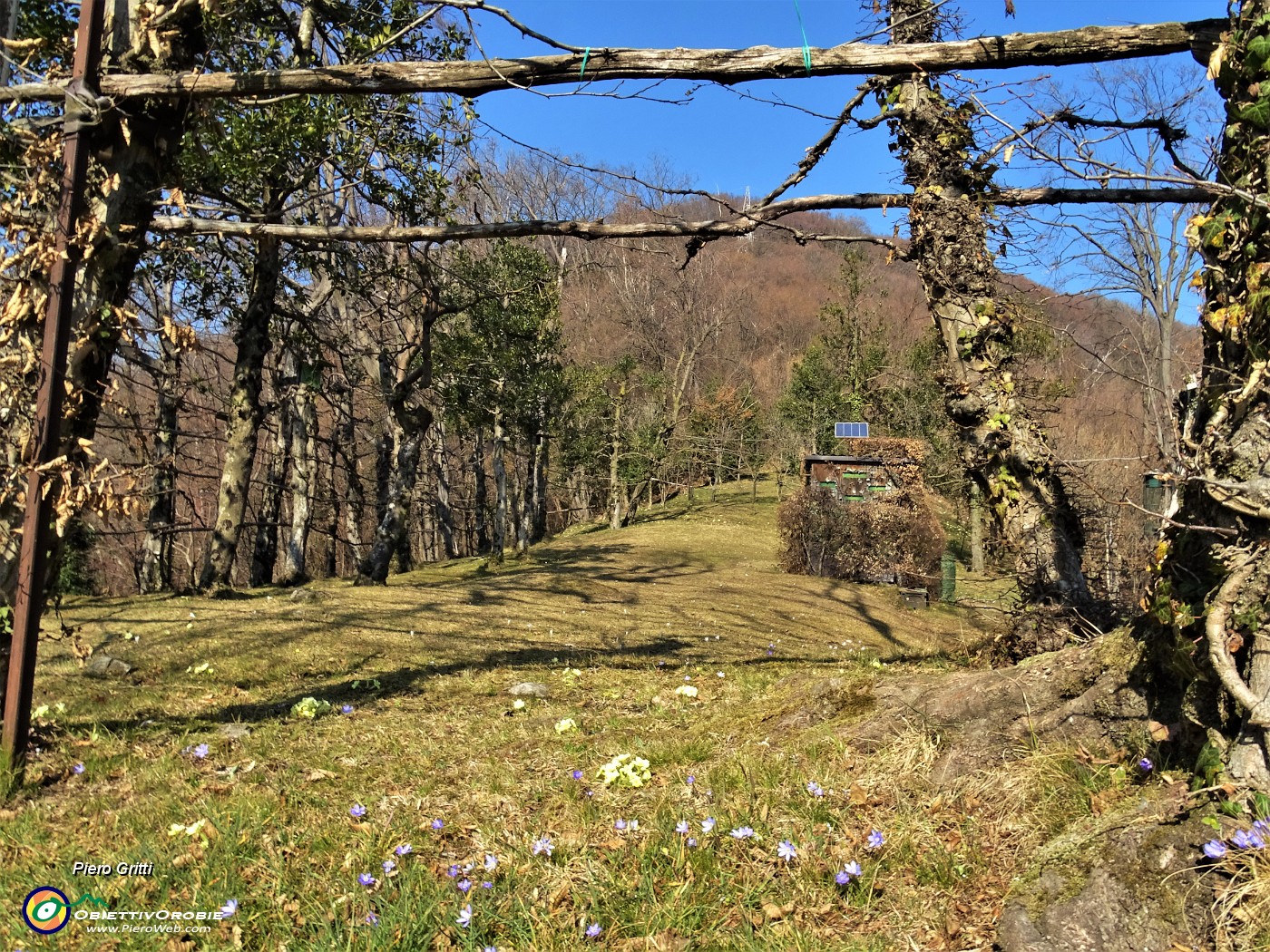 37 Roccolo della Passata.JPG